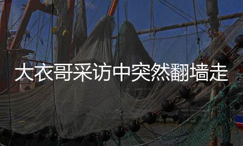 大衣哥采訪中突然翻墻走了，引發(fā)廣泛關注