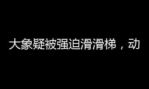 大象疑被強(qiáng)迫滑滑梯，動(dòng)物園管理待審視的事件
