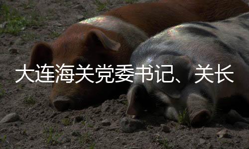 大連海關(guān)黨委書記、關(guān)長(zhǎng)劉大立接受紀(jì)律審查和監(jiān)察調(diào)查