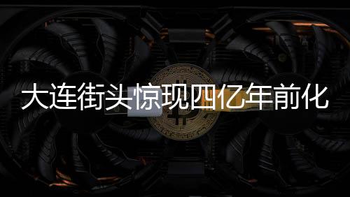 大連街頭驚現(xiàn)四億年前化石，市民偶遇史前寶藏