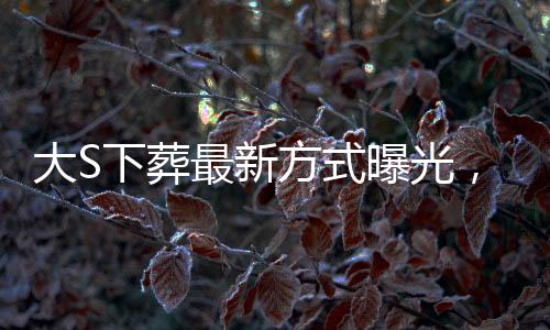 大S下葬最新方式曝光，揭秘其獨(dú)特葬禮細(xì)節(jié)