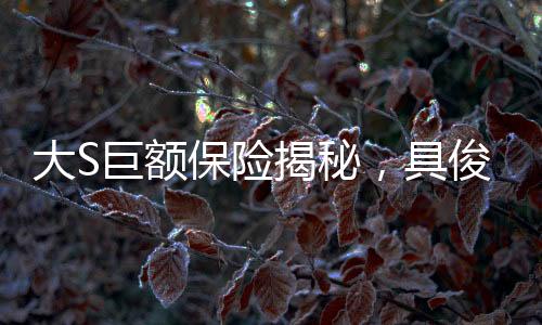 大S巨額保險(xiǎn)揭秘，具俊曄或成受益人，遺產(chǎn)紛爭引發(fā)關(guān)注