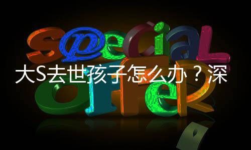 大S去世孩子怎么辦？深度探討一個家庭面臨巨大變故的情感與責(zé)任問題