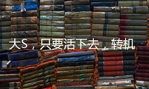 大S，只要活下去，轉(zhuǎn)機(jī)一定存在