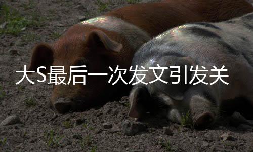 大S最后一次發(fā)文引發(fā)關(guān)注，內(nèi)容竟是關(guān)于具俊曄的深情告白