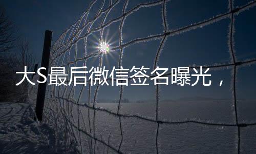 大S最后微信簽名曝光，背后隱藏的深意與故事線索揭秘