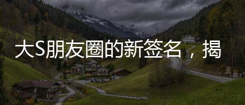 大S朋友圈的新簽名，揭秘背后的故事與情感