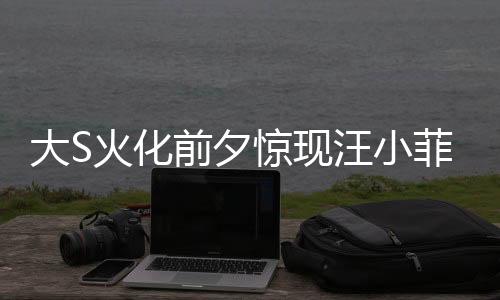 大S火化前夕驚現(xiàn)汪小菲電話風(fēng)波，憤怒咆哮背后的復(fù)雜情感糾葛