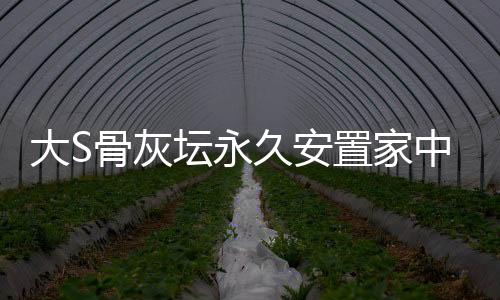 大S骨灰壇永久安置家中，緬懷之星永爍人心