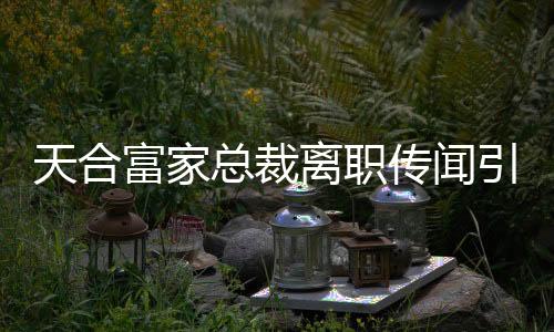天合富家總裁離職傳聞引發(fā)業(yè)界關(guān)注