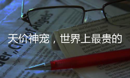 天價神寵，世界上最貴的狗以570萬美元成交
