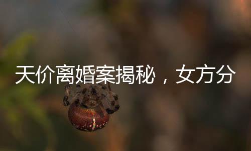 天價離婚案揭秘，女方分獲巨額財(cái)產(chǎn)，四億天價究竟有何內(nèi)幕？