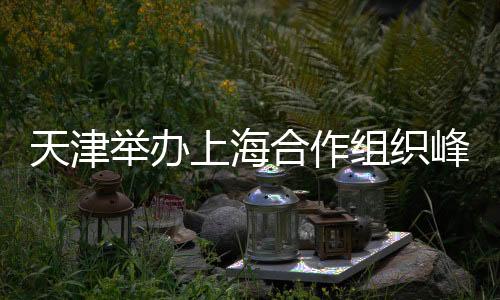 天津舉辦上海合作組織峰會，歷史交匯的盛會