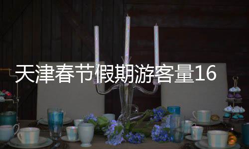 天津春節(jié)假期游客量1615.55萬(wàn)人次 消費(fèi)額同比勁增26.4%