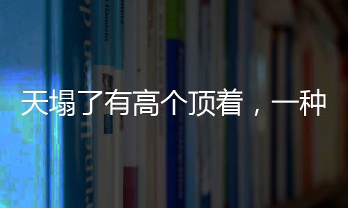 天塌了有高個頂著，一種社會現(xiàn)象的具象化解讀