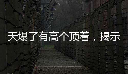 天塌了有高個頂著，揭示社會中的責(zé)任與擔(dān)當(dāng)具象化現(xiàn)象