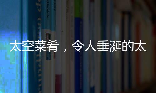 太空菜肴，令人垂涎的太空美食探索之旅