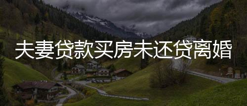 夫妻貸款買(mǎi)房未還貸離婚后共擔(dān)責(zé)，深度解析背后的法律問(wèn)題