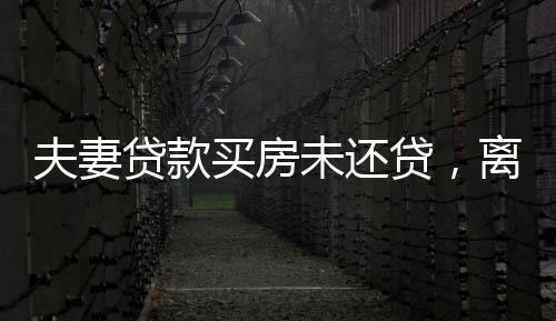 夫妻貸款買房未還貸，離婚后仍需共同承擔(dān)責(zé)任——深入探討房地產(chǎn)金融糾紛與社會(huì)效應(yīng)分析的文章標(biāo)題建議及詳細(xì)內(nèi)容如下，