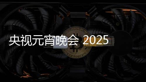 央視元宵晚會 2025年璀璨之夜的文化盛宴——熱烈慶祝元宵節(jié)盛景