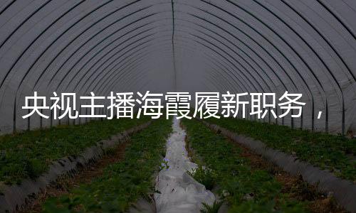 央視主播海霞履新職務(wù)，新角色新挑戰(zhàn)