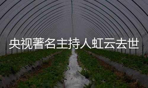 央視著名主持人虹云去世，一個時代的落幕與無盡懷念
