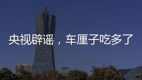 央視辟謠，車?yán)遄映远嗔藭卸?？一文帶你認(rèn)清真相