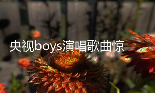央視boys演唱歌曲驚現(xiàn)易錯(cuò)字，網(wǎng)友熱議引關(guān)注
