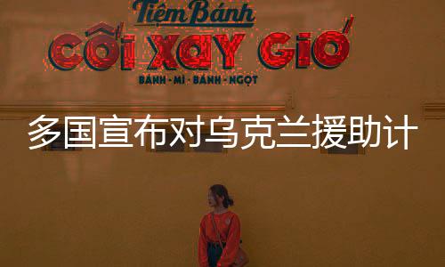 多國宣布對烏克蘭援助計劃，全球團(tuán)結(jié)助力烏克蘭重建與和平