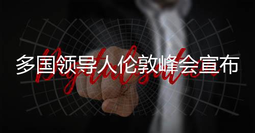 多國(guó)領(lǐng)導(dǎo)人倫敦峰會(huì)宣布挺烏四步驟，團(tuán)結(jié)合作應(yīng)對(duì)全球挑戰(zhàn)