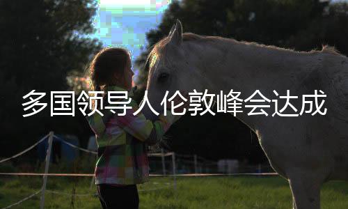 多國領導人倫敦峰會達成重要共識，支持烏克蘭的四個關(guān)鍵步驟