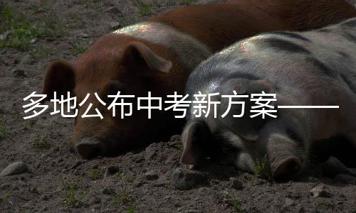 多地公布中考新方案——改革細(xì)節(jié)與實(shí)施展望