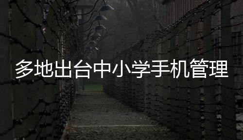 多地出臺(tái)中小學(xué)手機(jī)管理禁令，重塑學(xué)習(xí)與生活的平衡