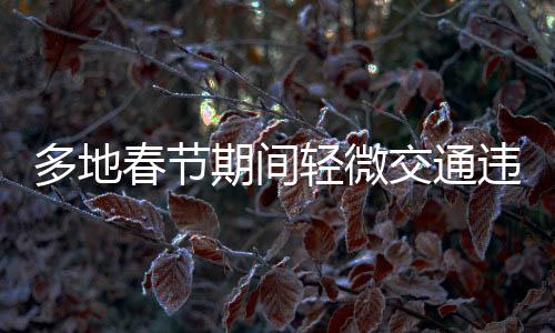 多地春節(jié)期間輕微交通違法不處罰，倡導(dǎo)和諧節(jié)日氛圍