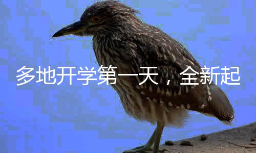 多地開(kāi)學(xué)第一天，全新起點(diǎn)，期待與現(xiàn)實(shí)的交織