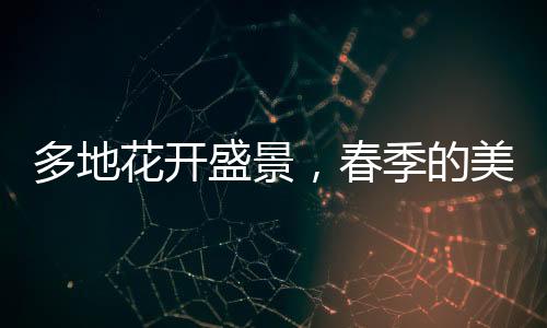 多地花開盛景，春季的美麗畫卷正悄然展開