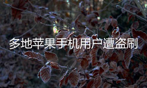 多地蘋果手機用戶遭盜刷，支付安全引發(fā)關(guān)注