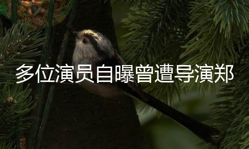 多位演員自曝曾遭導(dǎo)演鄭某峰侵害，娛樂圈震撼揭示性丑聞事件！揭開業(yè)內(nèi)深層次黑暗面的調(diào)查正酣。這一事件引發(fā)了社會各界的廣泛關(guān)注，對娛樂圈的職業(yè)道德和倫理規(guī)范提出了嚴(yán)峻挑戰(zhàn)。接下來，我們將從十個方面深入探討這一事件。