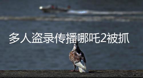 多人盜錄傳播哪吒2被抓，法律為版權(quán)護(hù)航