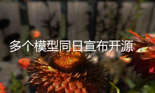 多個(gè)模型同日宣布開(kāi)源，推動(dòng)技術(shù)生態(tài)繁榮發(fā)展