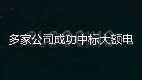 多家公司成功中標(biāo)大額電網(wǎng)采購訂單，推動(dòng)能源領(lǐng)域合作邁向新高度