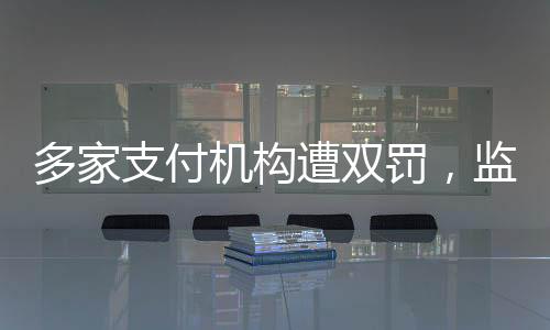 多家支付機(jī)構(gòu)遭雙罰，監(jiān)管風(fēng)暴來襲