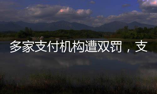 多家支付機(jī)構(gòu)遭雙罰，支付市場(chǎng)風(fēng)云再起