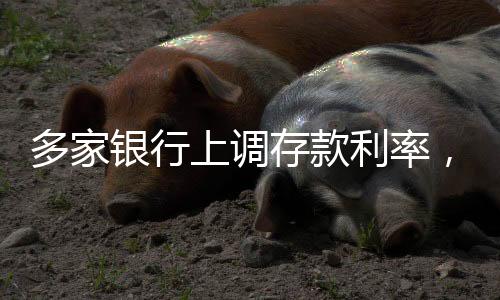 多家銀行上調(diào)存款利率，市場(chǎng)反應(yīng)與未來展望