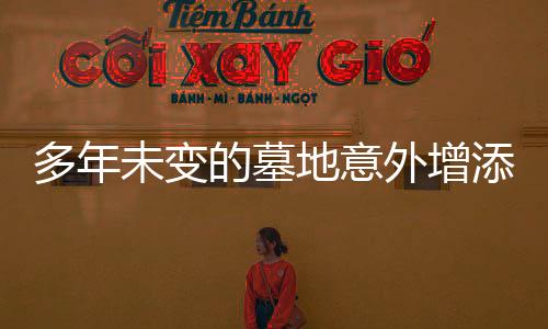 多年未變的墓地意外增添新墳，鄉(xiāng)村墓葬現(xiàn)象的觀察與反思