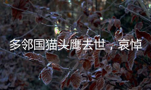 多鄰國(guó)貓頭鷹去世，哀悼一位無聲的守護(hù)者