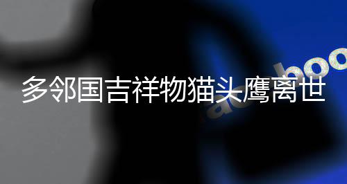 多鄰國(guó)吉祥物貓頭鷹離世，引發(fā)廣泛哀思