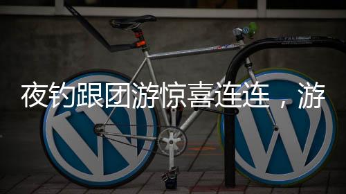 夜釣跟團(tuán)游驚喜連連，游客偶遇大型魚群