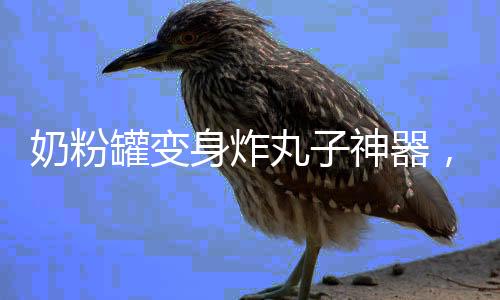 奶粉罐變身炸丸子神器，創(chuàng)意DIY引領(lǐng)生活新潮流