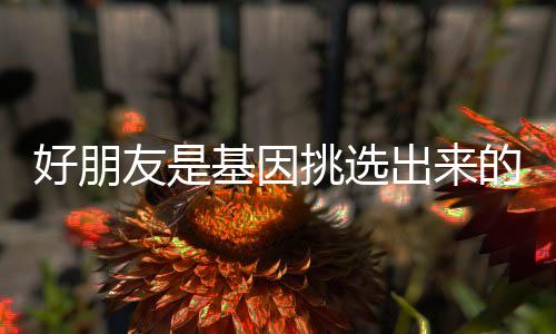 好朋友是基因挑選出來的親人！真的沒騙你